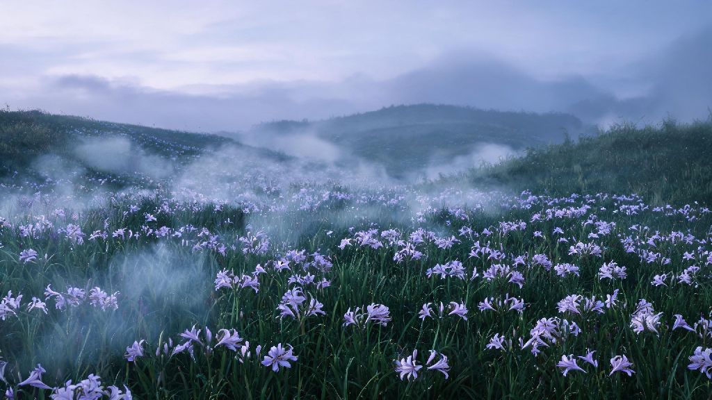 Easy Guide: Where to Find Aroma Lilies in Infinity Nikki for All Players
